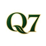 Q7 brand logo
