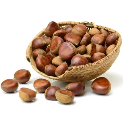 Turkish Natural Raw Chestnut (Kestane) – Large Size