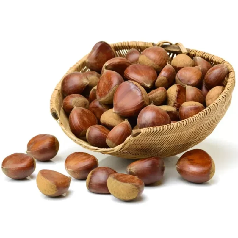 Turkish Natural Raw Chestnut (Kestane) – Large Size