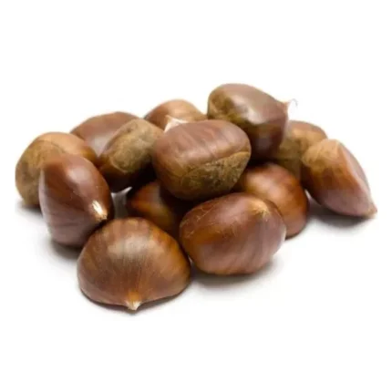 Turkish Natural Raw Chestnut (Kestane) – Small Size